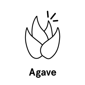 agave-text