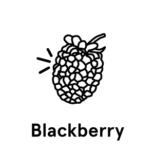 blackberry-text'