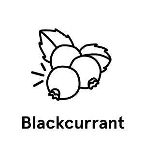 blackcurrant-text'