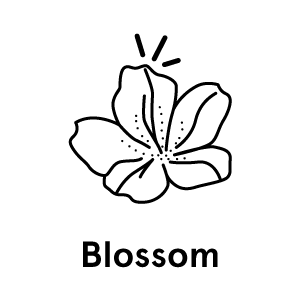 blossom-text