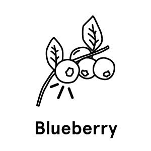 blueberry-text