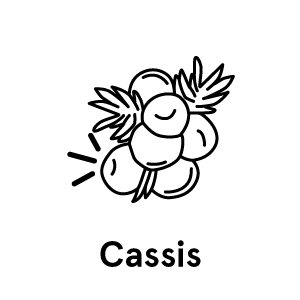 cassis-text