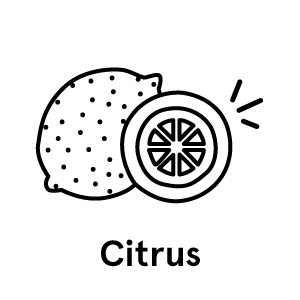citrus-text'