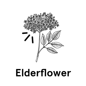elderflower-text