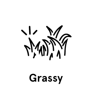 grassy-text