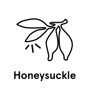 honeysuckle-text