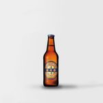 Speights-Gold--15-x-330ml