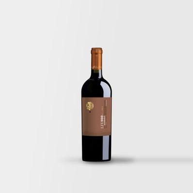 Luis Felipe Edwards Single Vineyard Malbec '900' 2018,  Chile