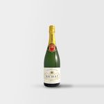 Bichat-NV--Champagne