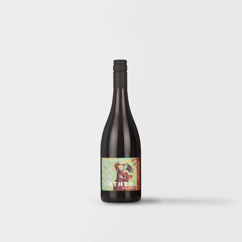 Anthem Ascend Pinot Noir 2022, Central Otago