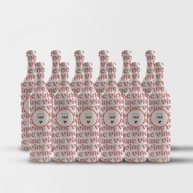 Weekend Delights 12pk Shiraz
