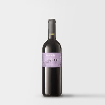 Valdibella Ligame Syrah 2019