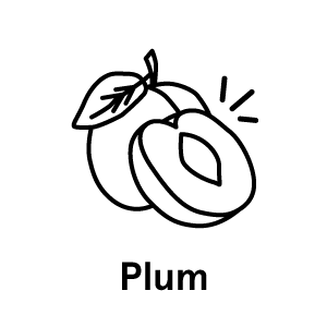 plum-text