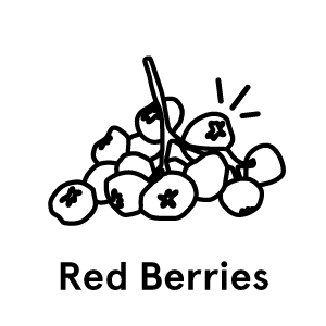 redberries-text