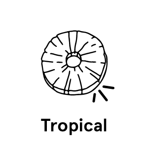 tropical-text